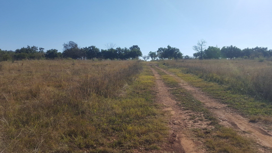 0 Bedroom Property for Sale in Letamo Game Farm Gauteng