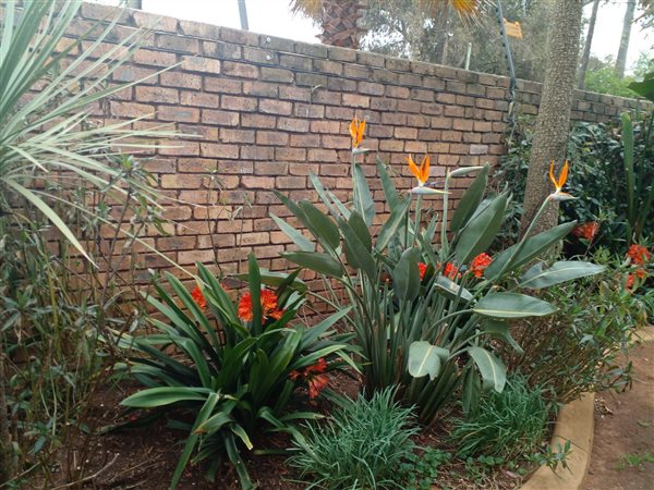 4 Bedroom Property for Sale in Pomona Gauteng