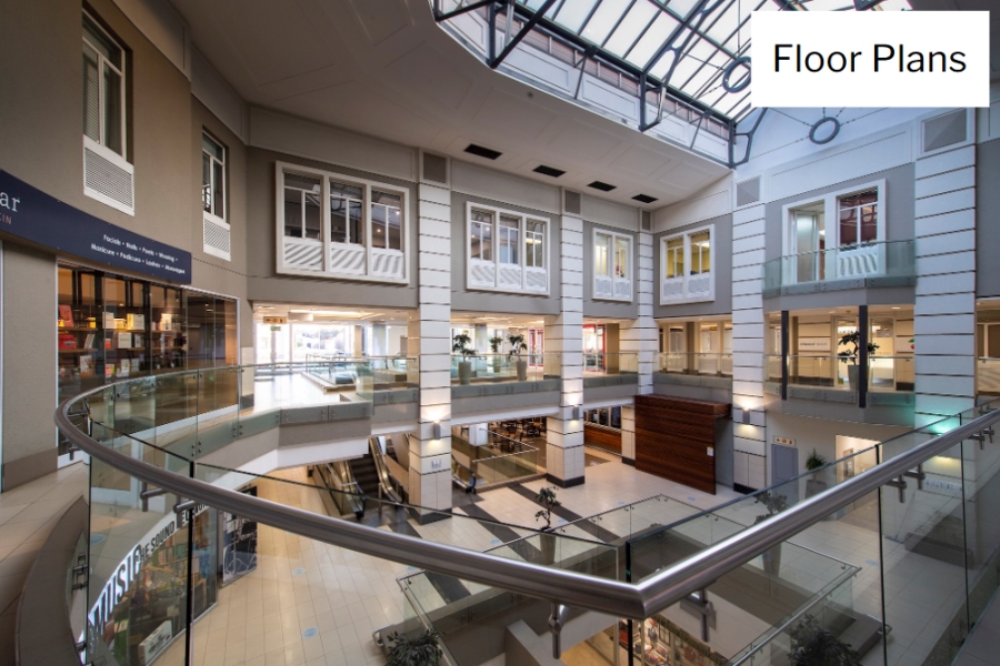 To Let commercial Property for Rent in Illovo Gauteng