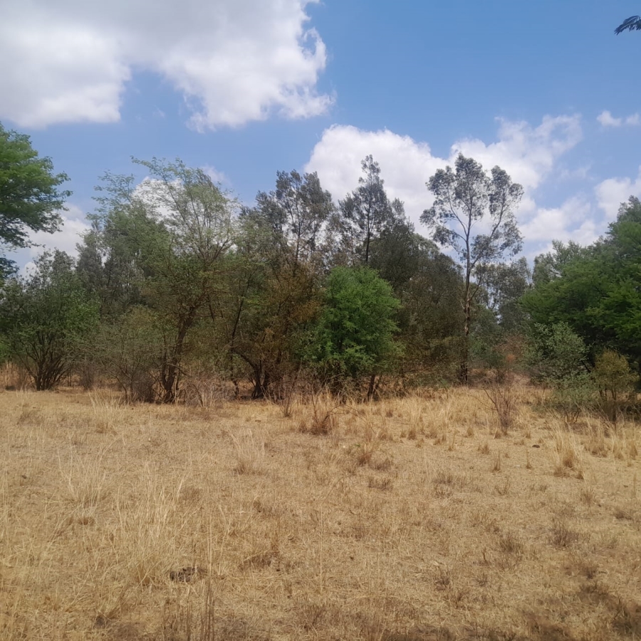 0 Bedroom Property for Sale in Wildebeeshoek AH Gauteng