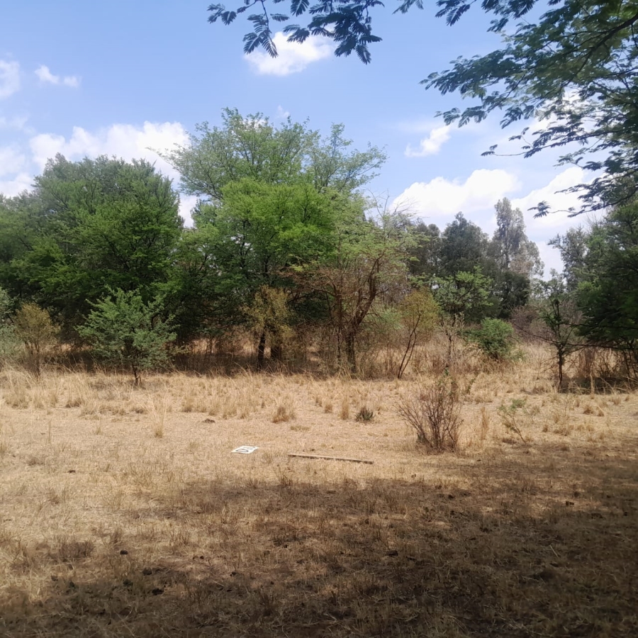 0 Bedroom Property for Sale in Wildebeeshoek AH Gauteng