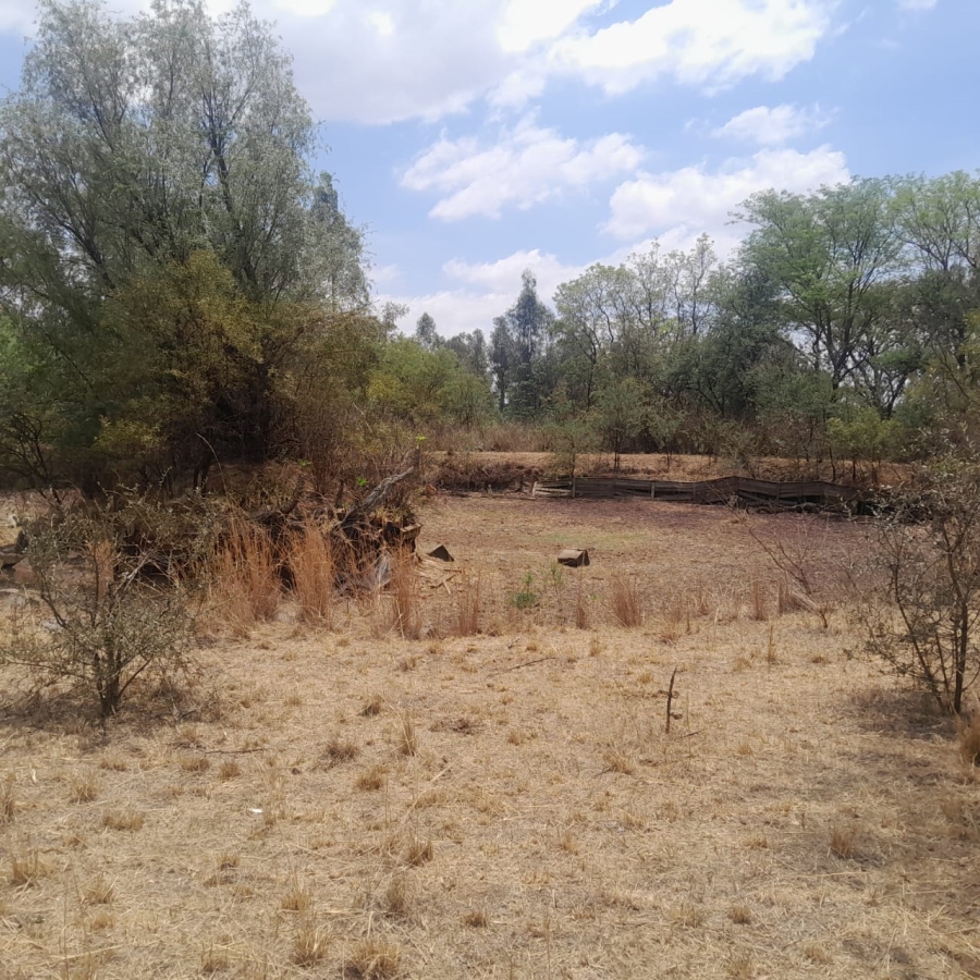 0 Bedroom Property for Sale in Wildebeeshoek AH Gauteng