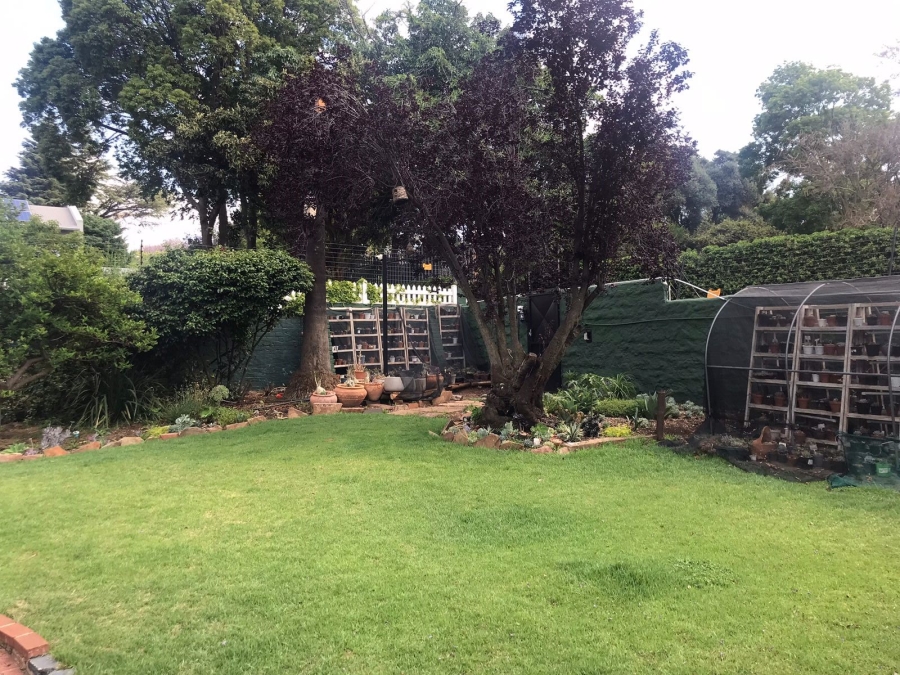 To Let 3 Bedroom Property for Rent in Parktown Gauteng