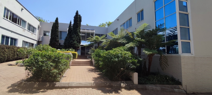 To Let commercial Property for Rent in Parktown Gauteng