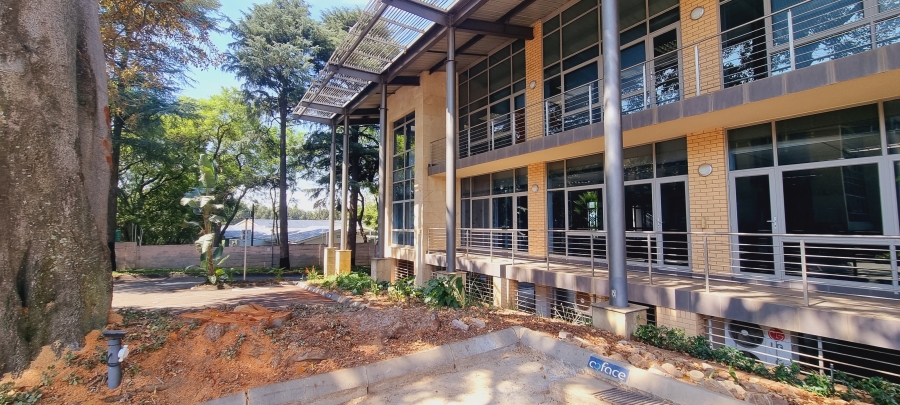 To Let commercial Property for Rent in Bryanston Gauteng