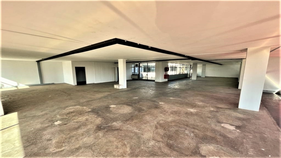 To Let commercial Property for Rent in Parktown North Gauteng