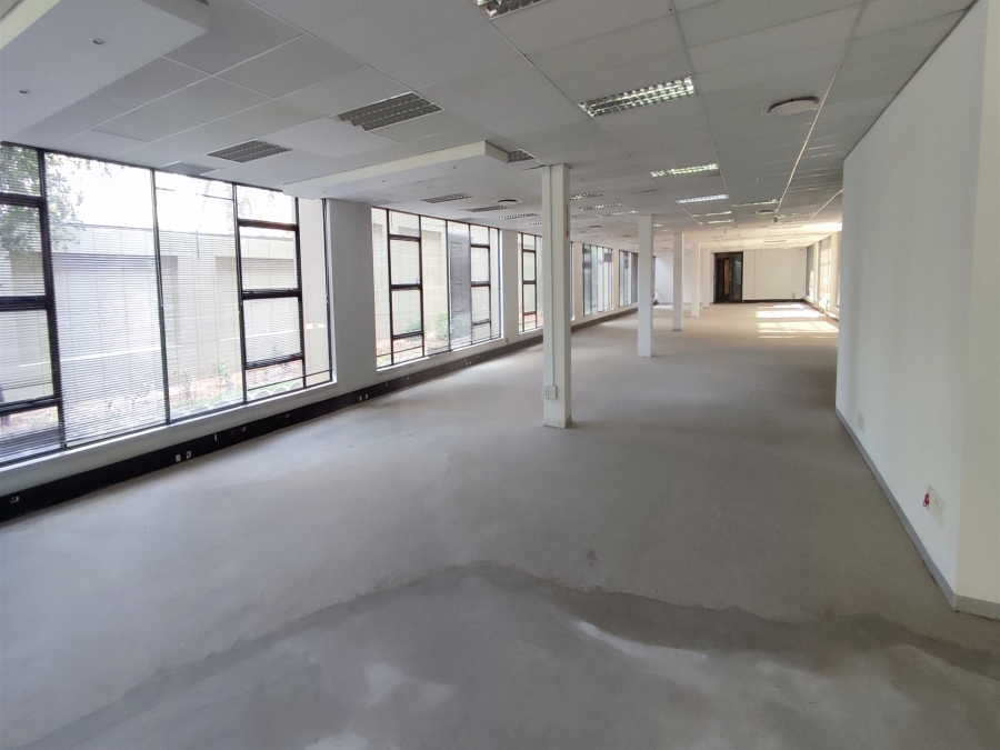 To Let commercial Property for Rent in Illovo Gauteng