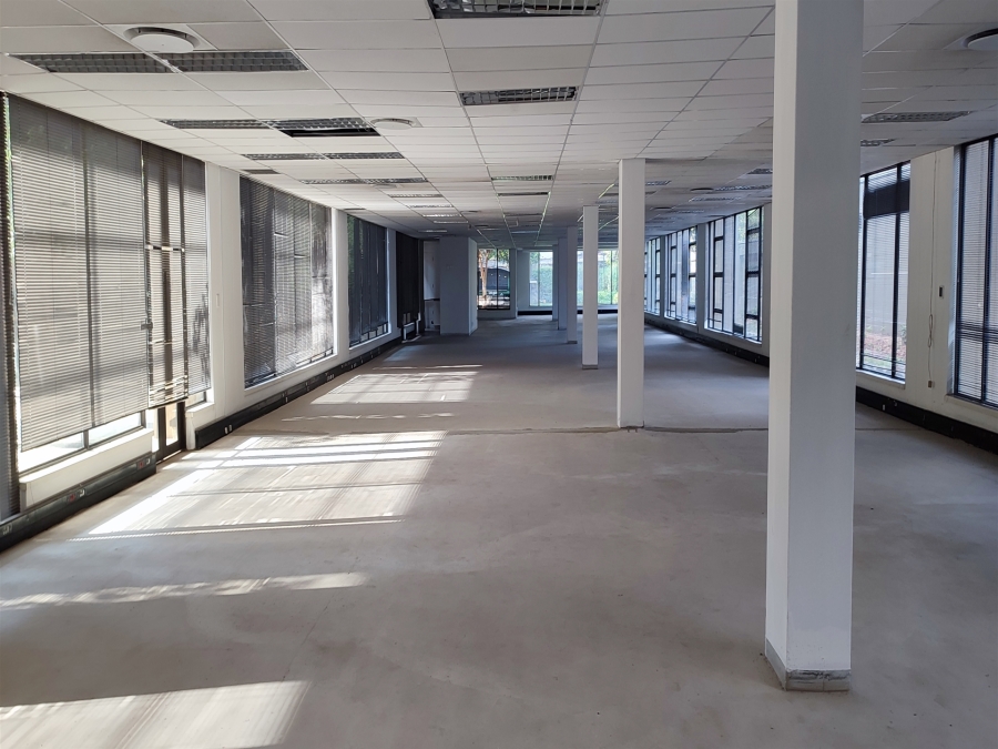 To Let commercial Property for Rent in Illovo Gauteng