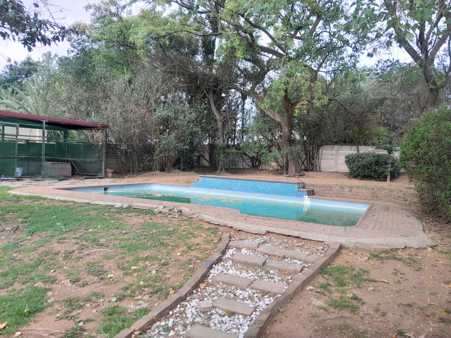 To Let 5 Bedroom Property for Rent in Buccleuch Gauteng