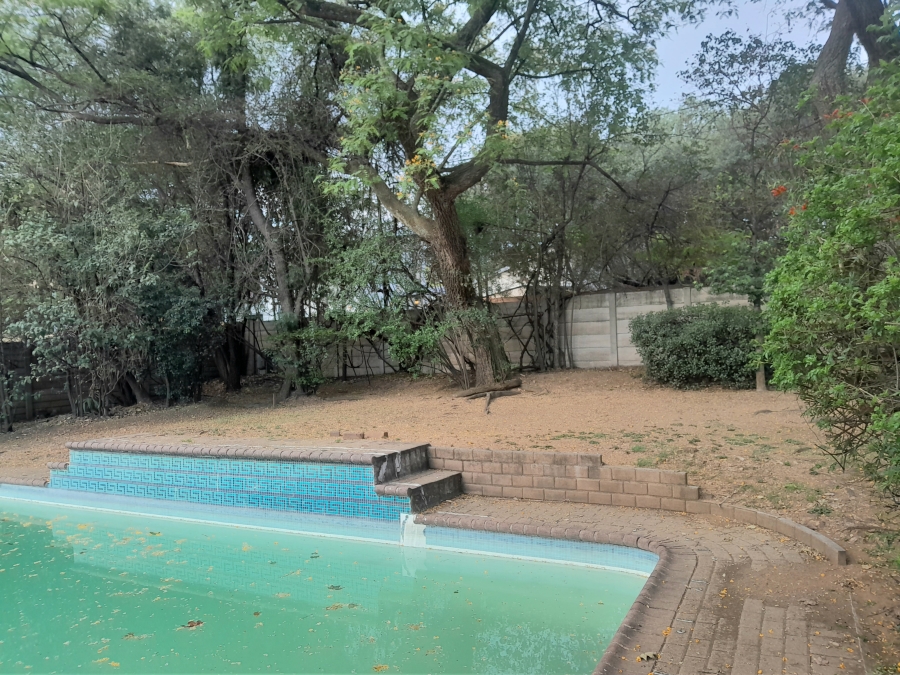 To Let 5 Bedroom Property for Rent in Buccleuch Gauteng