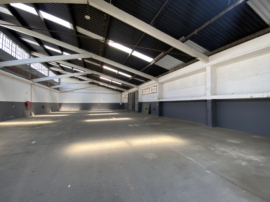 To Let commercial Property for Rent in Eastleigh Gauteng