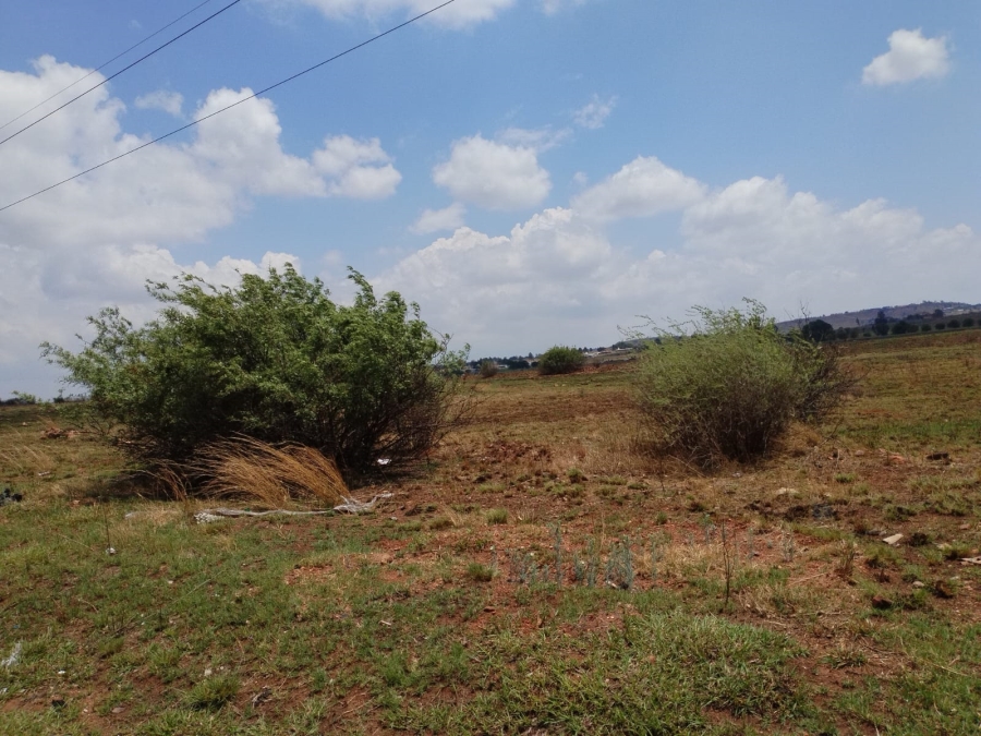 0 Bedroom Property for Sale in Witkop Gauteng