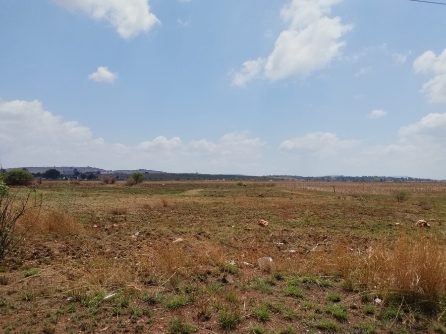 0 Bedroom Property for Sale in Witkop Gauteng