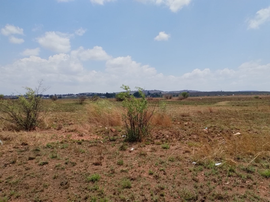 0 Bedroom Property for Sale in Witkop Gauteng