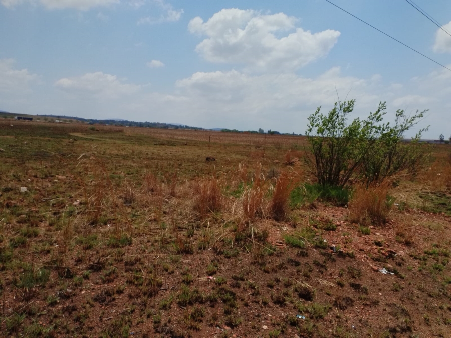 0 Bedroom Property for Sale in Witkop Gauteng