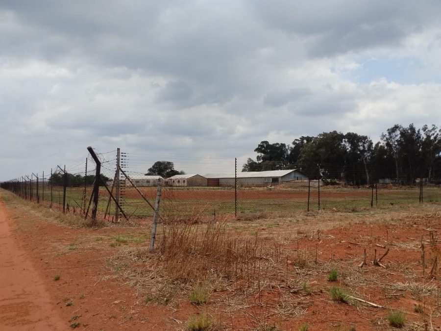 0 Bedroom Property for Sale in Witkop Gauteng