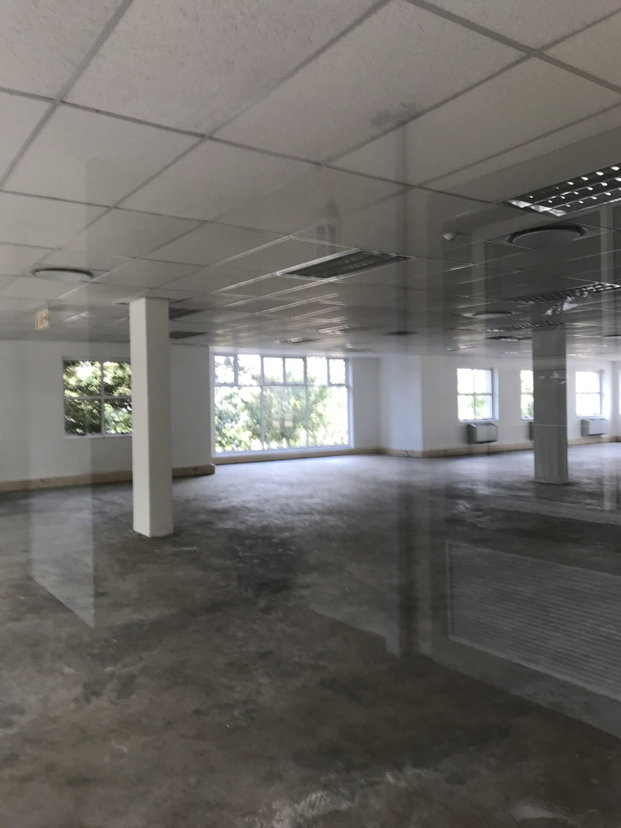 To Let commercial Property for Rent in Bryanston Gauteng