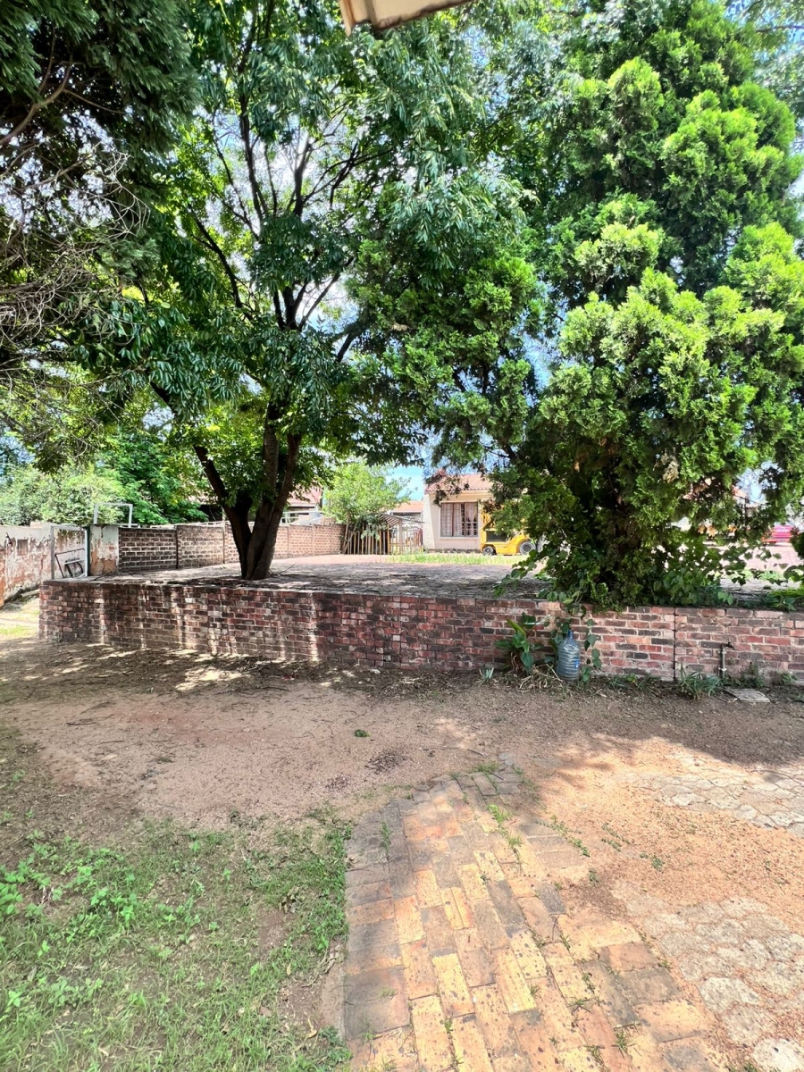 To Let 3 Bedroom Property for Rent in Buccleuch Gauteng