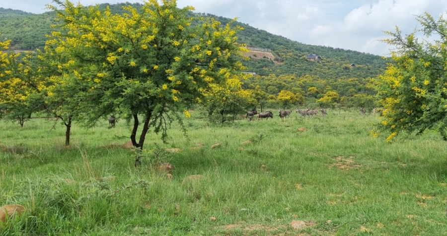 3 Bedroom Property for Sale in Meyerton Rural Gauteng