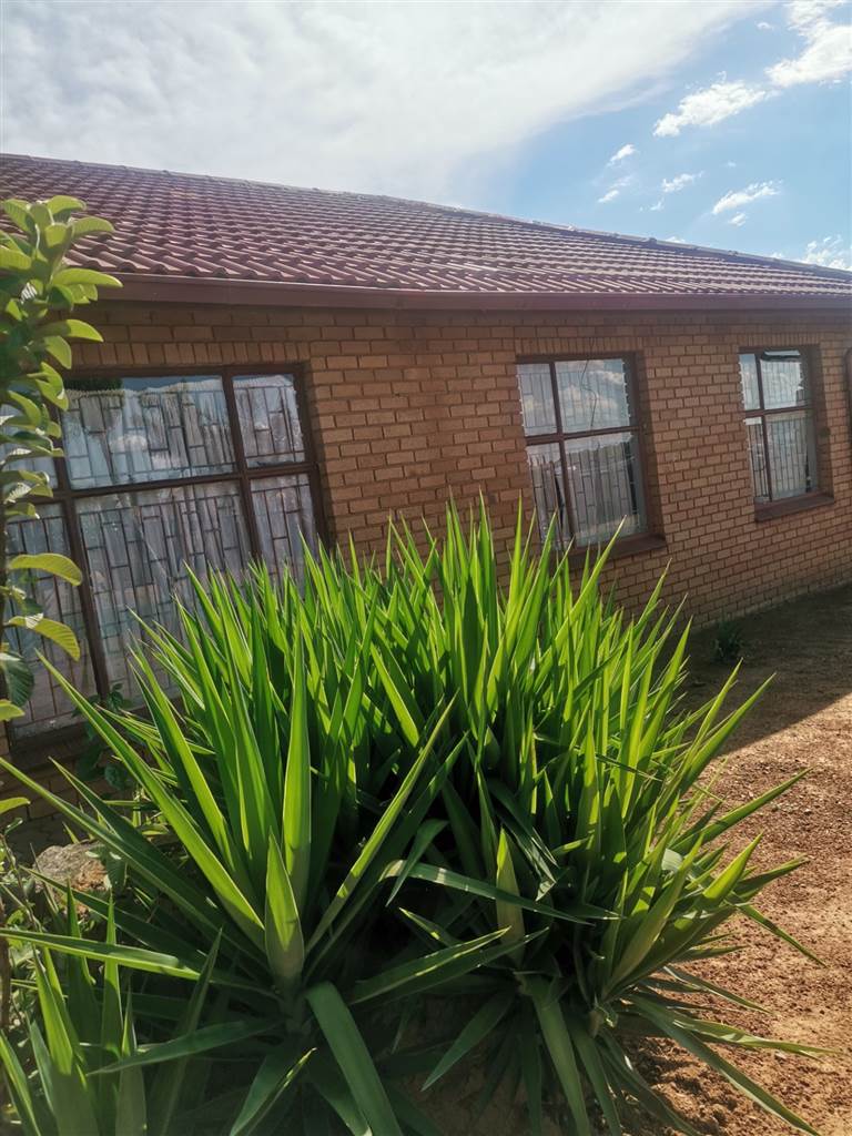 To Let 3 Bedroom Property for Rent in Soshanguve BB Gauteng