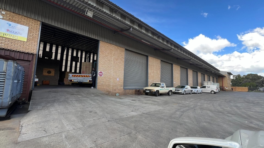 To Let commercial Property for Rent in Pomona Gauteng