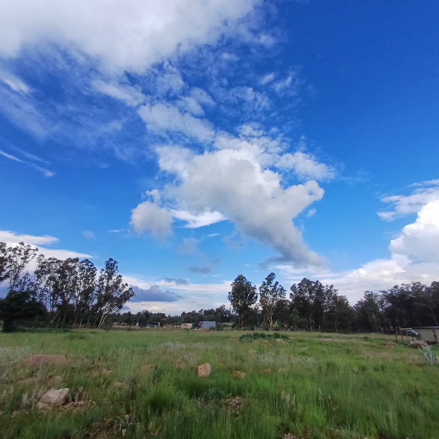 3 Bedroom Property for Sale in Walker Fruit Farms Gauteng