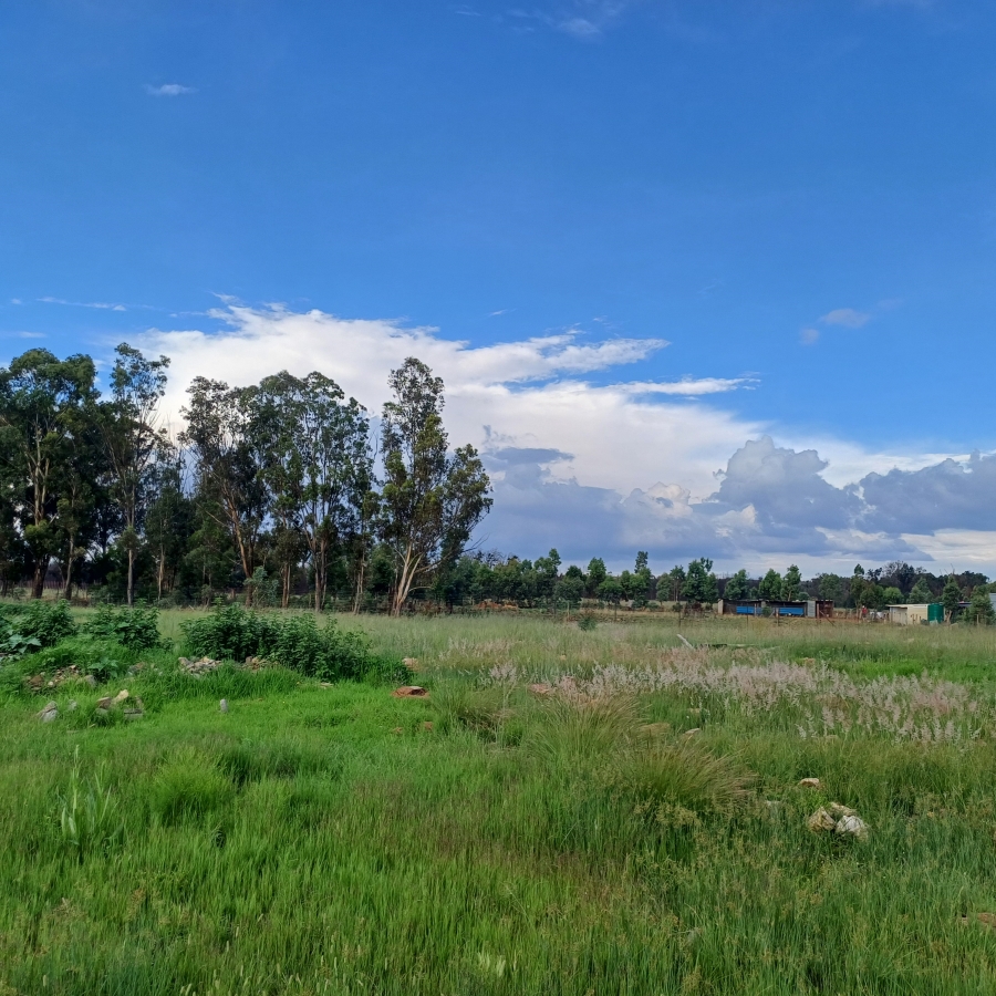 3 Bedroom Property for Sale in Walker Fruit Farms Gauteng
