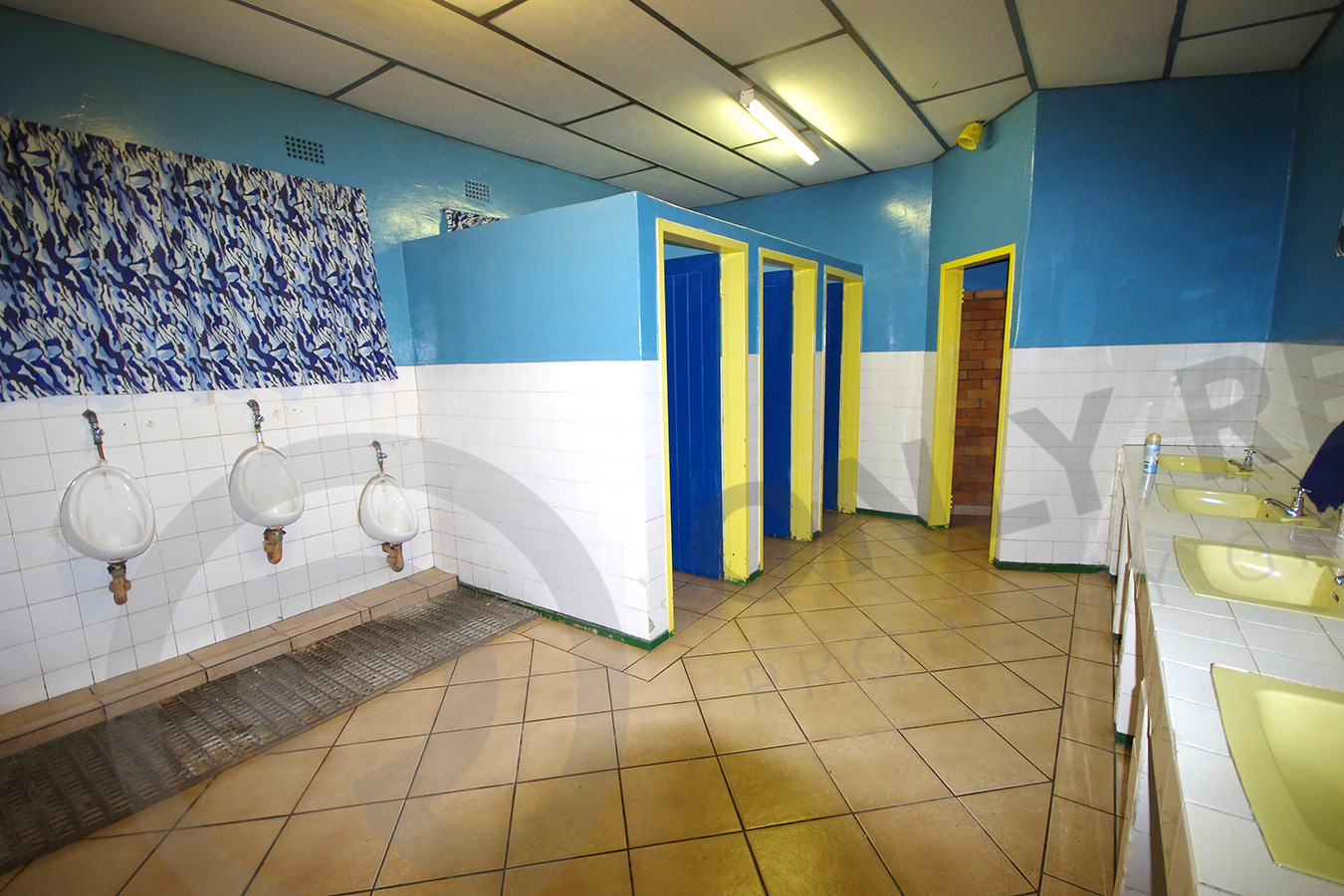 Commercial Property for Sale in Vischkuil Gauteng