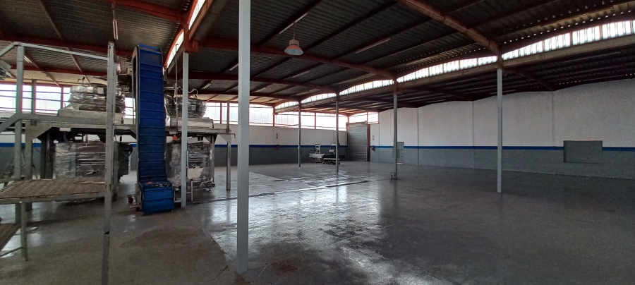 To Let commercial Property for Rent in Alberton North Gauteng