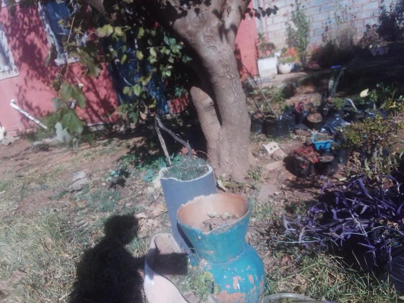 2 Bedroom Property for Sale in Lehae Gauteng