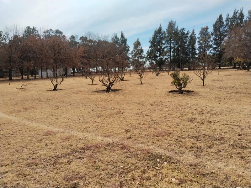 0 Bedroom Property for Sale in Rietfontein Gauteng