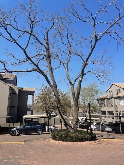 2 Bedroom Property for Sale in Bryanston Gauteng