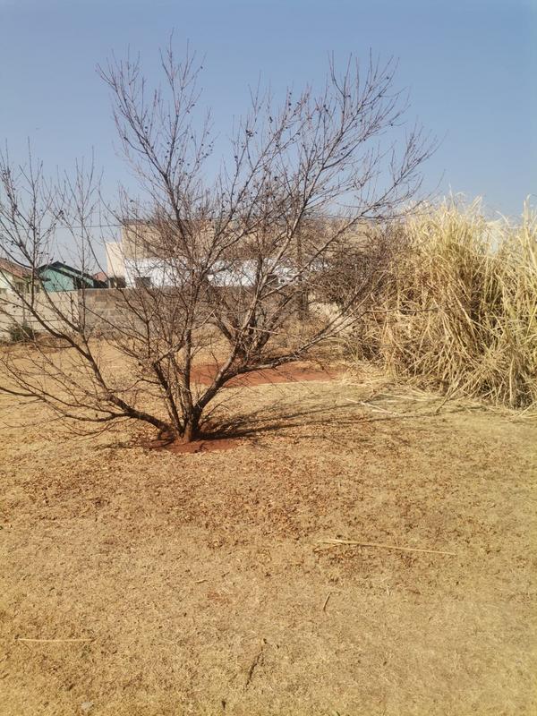 3 Bedroom Property for Sale in Vosloorus Gauteng