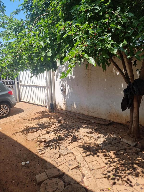 To Let 3 Bedroom Property for Rent in Kensington Gauteng