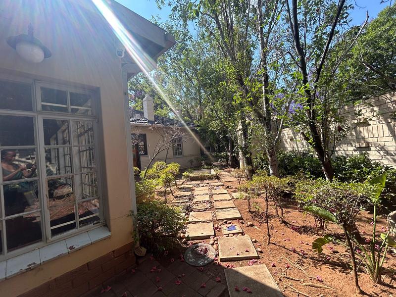 To Let 3 Bedroom Property for Rent in Brooklyn Gauteng