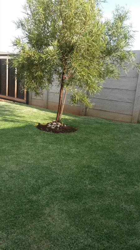 3 Bedroom Property for Sale in Sky City Gauteng