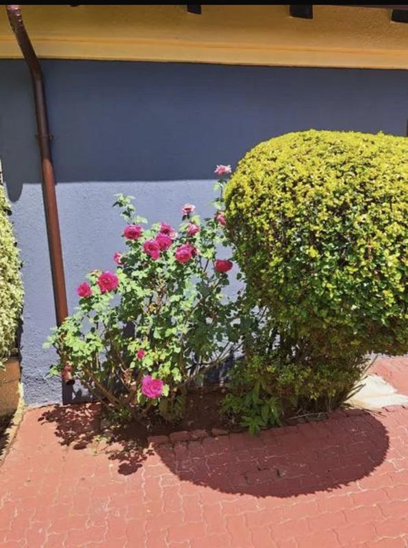 To Let 3 Bedroom Property for Rent in Clayville Gauteng