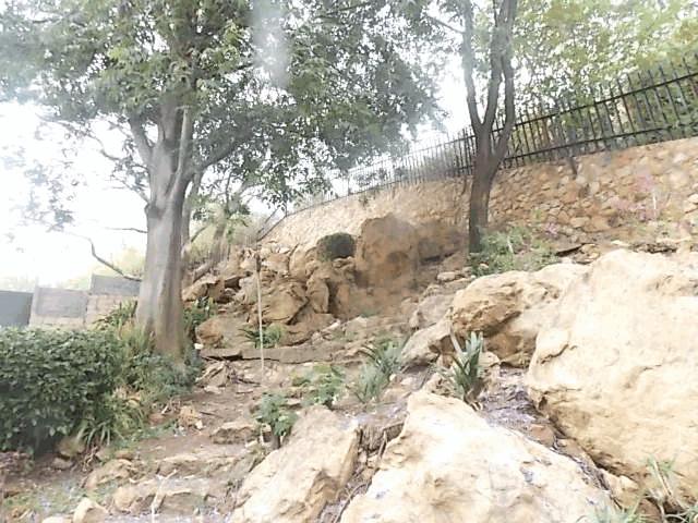 To Let 5 Bedroom Property for Rent in Bedfordview Gauteng