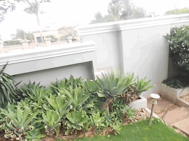 To Let 5 Bedroom Property for Rent in Bedfordview Gauteng