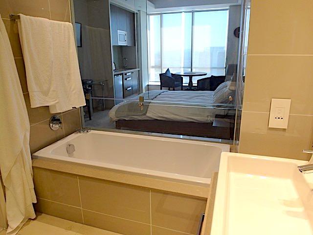 To Let 1 Bedroom Property for Rent in Sandton Central Gauteng