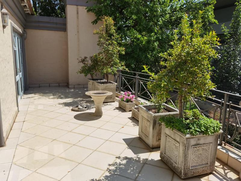 To Let 3 Bedroom Property for Rent in Waterkloof Ridge Gauteng