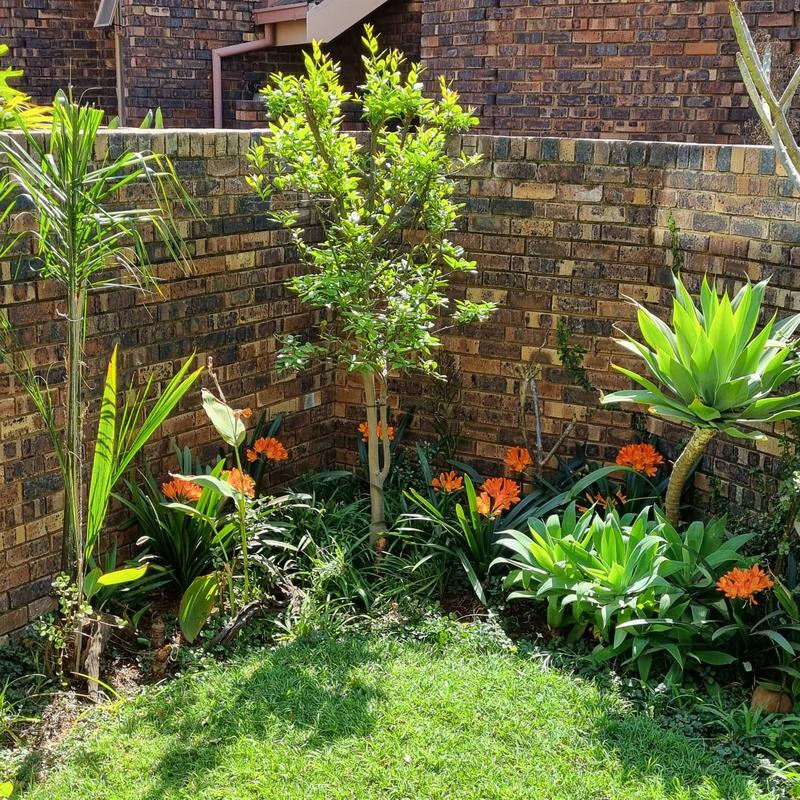 2 Bedroom Property for Sale in Rietfontein Gauteng