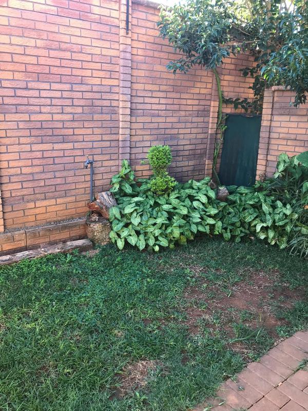 To Let 2 Bedroom Property for Rent in Pretoria North Gauteng