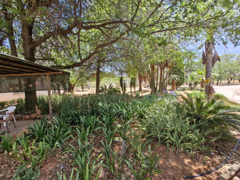 3 Bedroom Property for Sale in Knoppieslaagte Gauteng