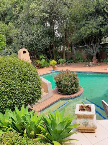 To Let 1 Bedroom Property for Rent in Houghton Gauteng