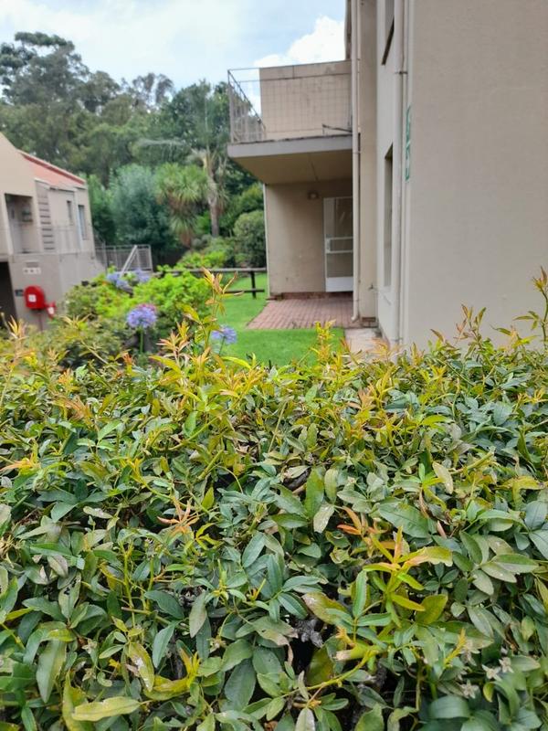 To Let 0 Bedroom Property for Rent in Bedford Gardens Gauteng