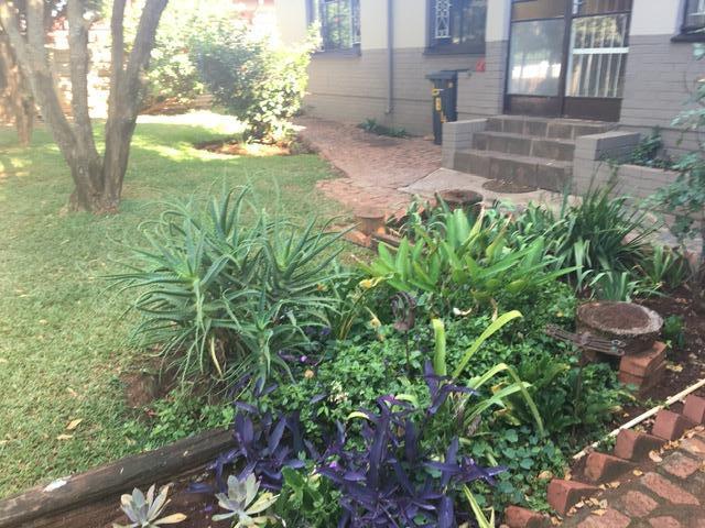 To Let 3 Bedroom Property for Rent in Mountain View Gauteng