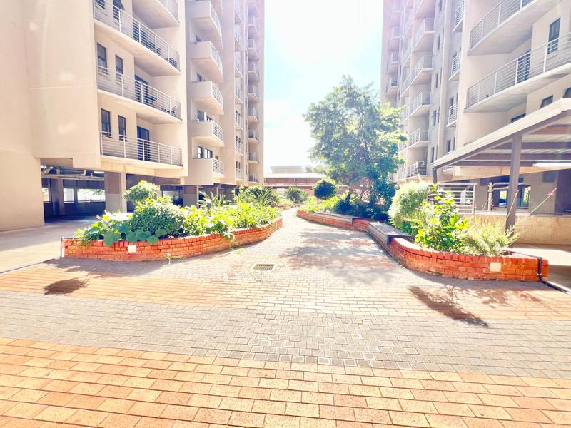 To Let 1 Bedroom Property for Rent in Hatfield Gauteng