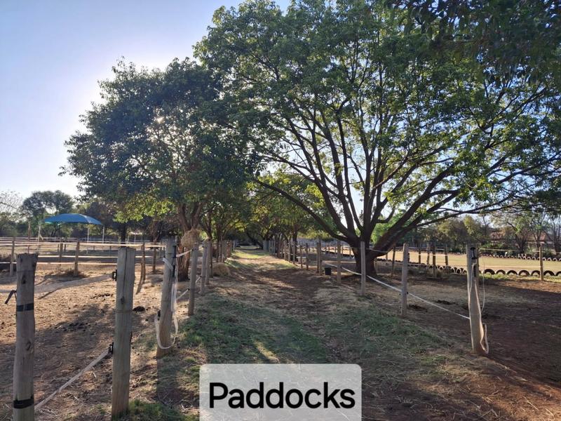 9 Bedroom Property for Sale in Andeon Gauteng