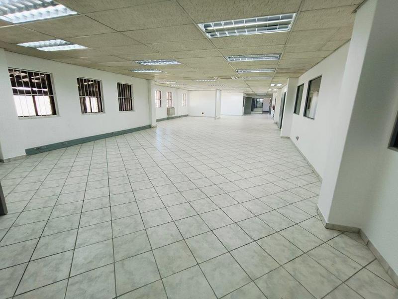 To Let commercial Property for Rent in Paulshof Gauteng